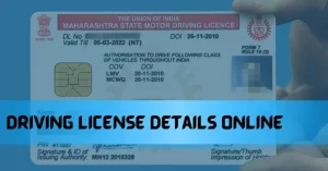 Driving License Details Online